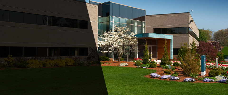 Ovid Landscapers