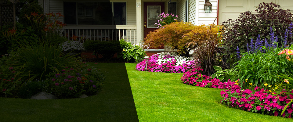 Ovid Landscapers