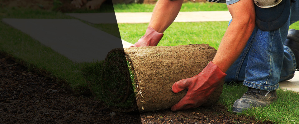 Ovid Landscapers